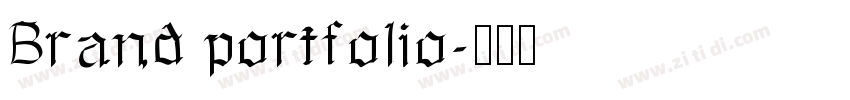 Brand portfolio字体转换